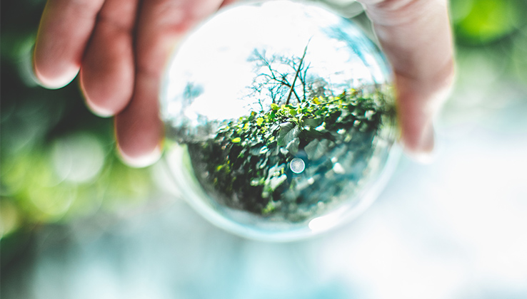 开云集团官网首页